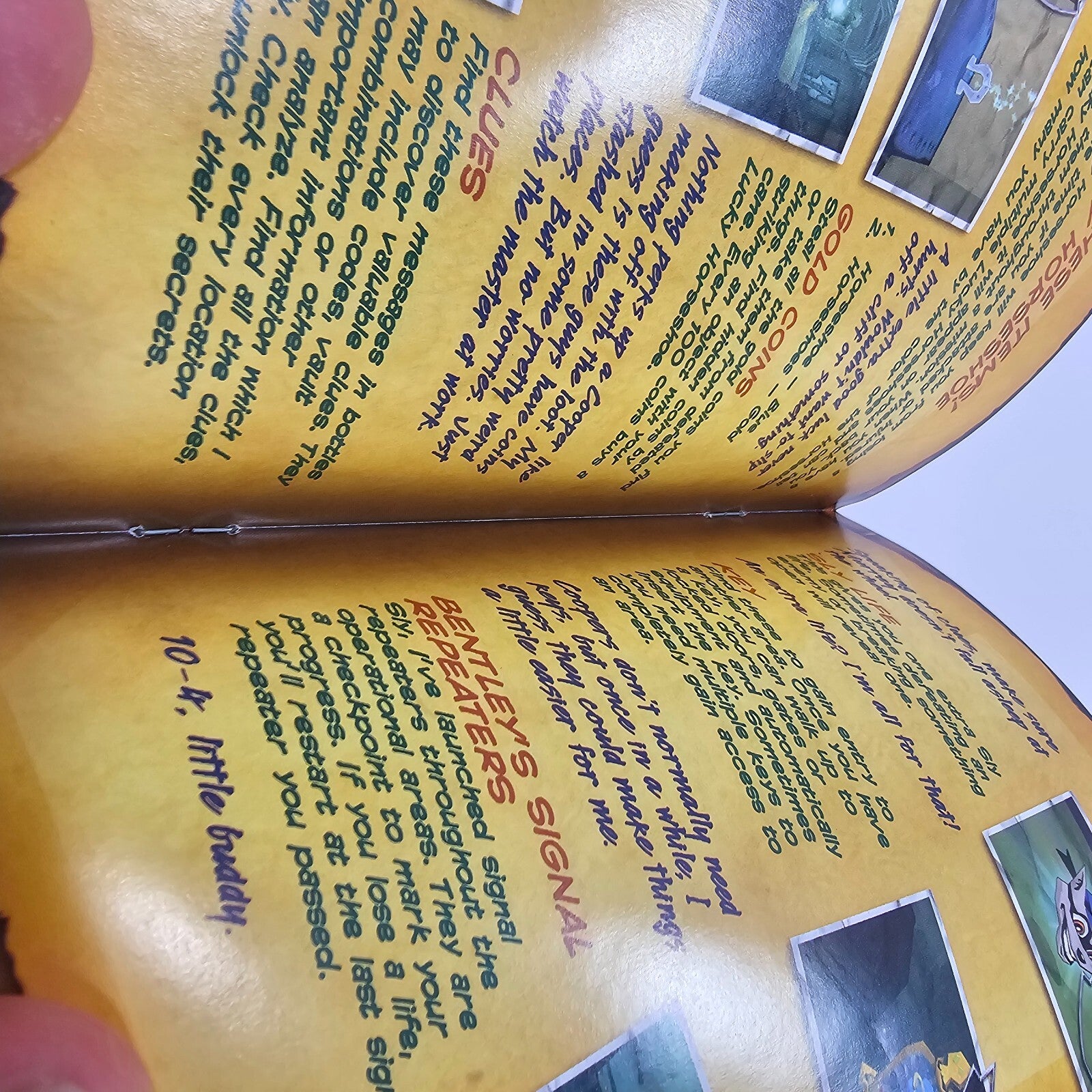 Sly Cooper And The Thievius Raccoonus (PlayStation 2, 2003) Game Case Manual Reg