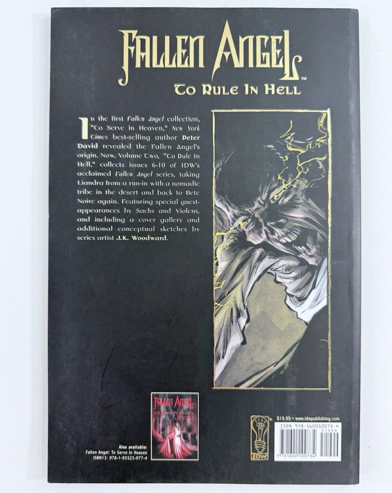 Fallen Angel: To Rule in Hell (IDW, 2007) Back in Noire - First Prints - #2 #3
