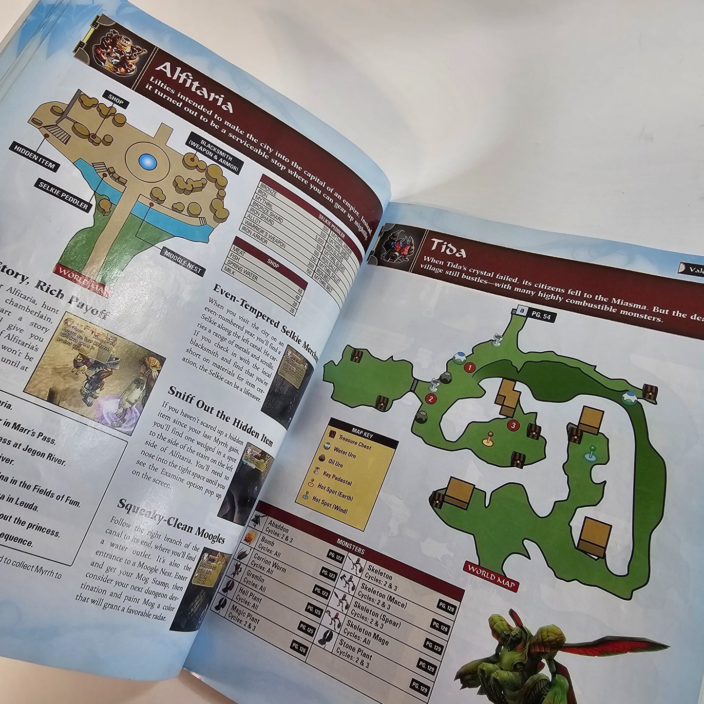 Nintendo Final Fantasy Crystal Chronicles Official Strategy Guide Book Game Cube