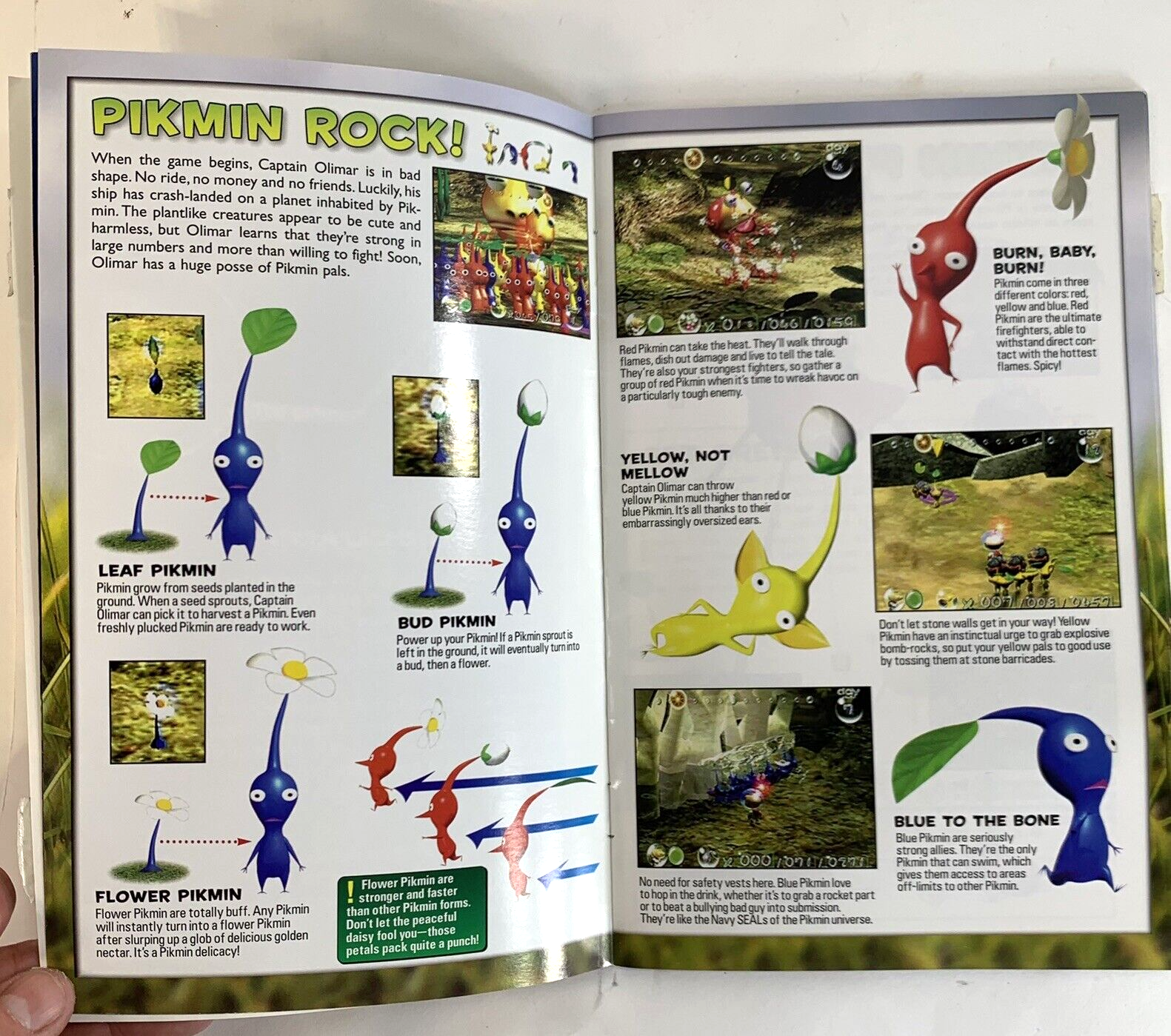 E3 2001 Pikmin Game Cube Nintendo Power Promotional Mailer - Mini Magazine