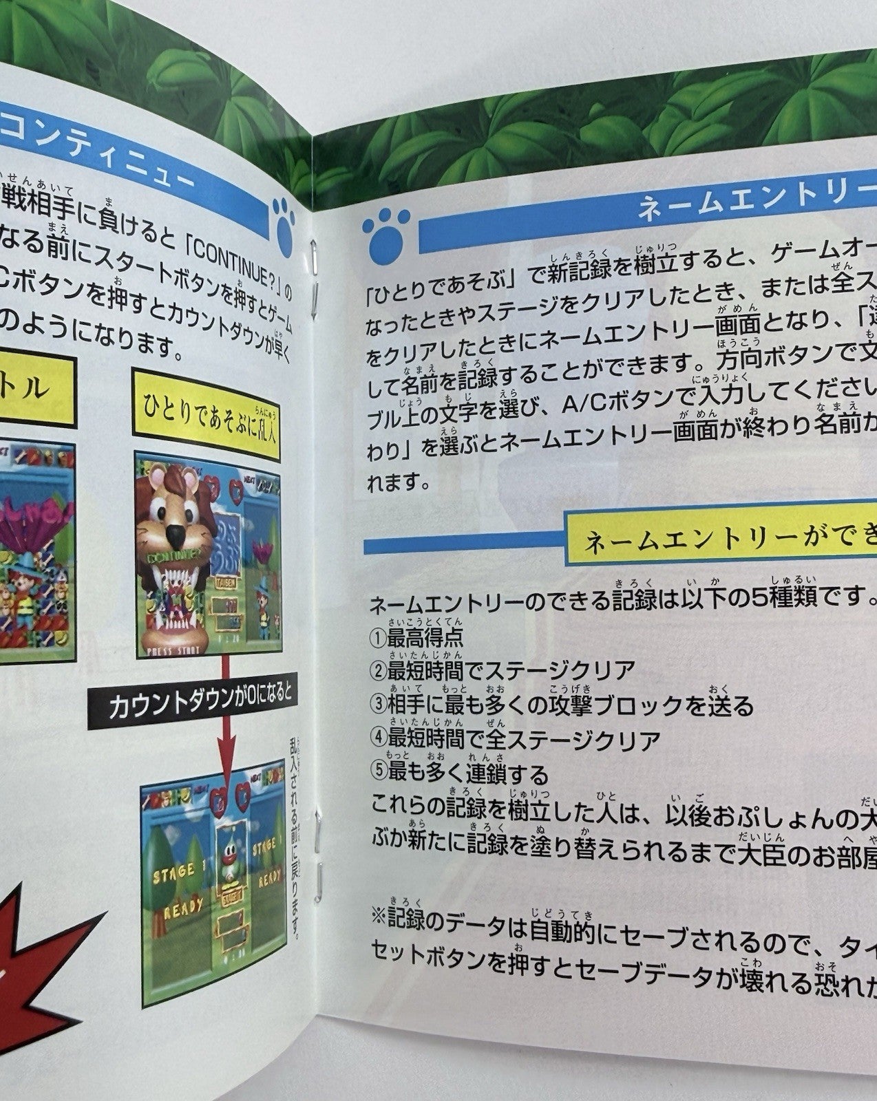 Baku Baku Animal (JP Sega Saturn, 1995) Game and Manual - Tested and Working