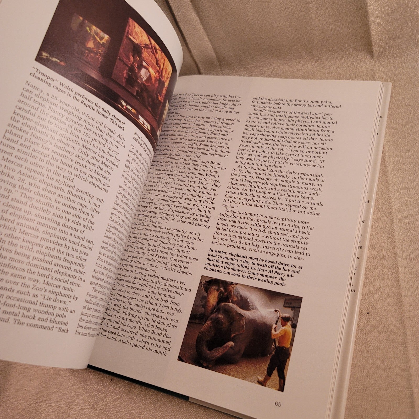 A Zoo For All Seasons: The Smithsonian Animal World