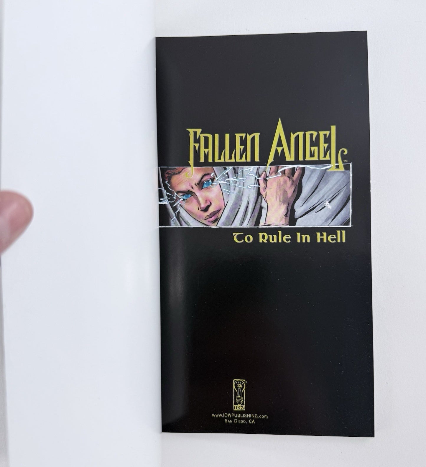Fallen Angel: To Rule in Hell (IDW, 2007) Back in Noire - First Prints - #2 #3
