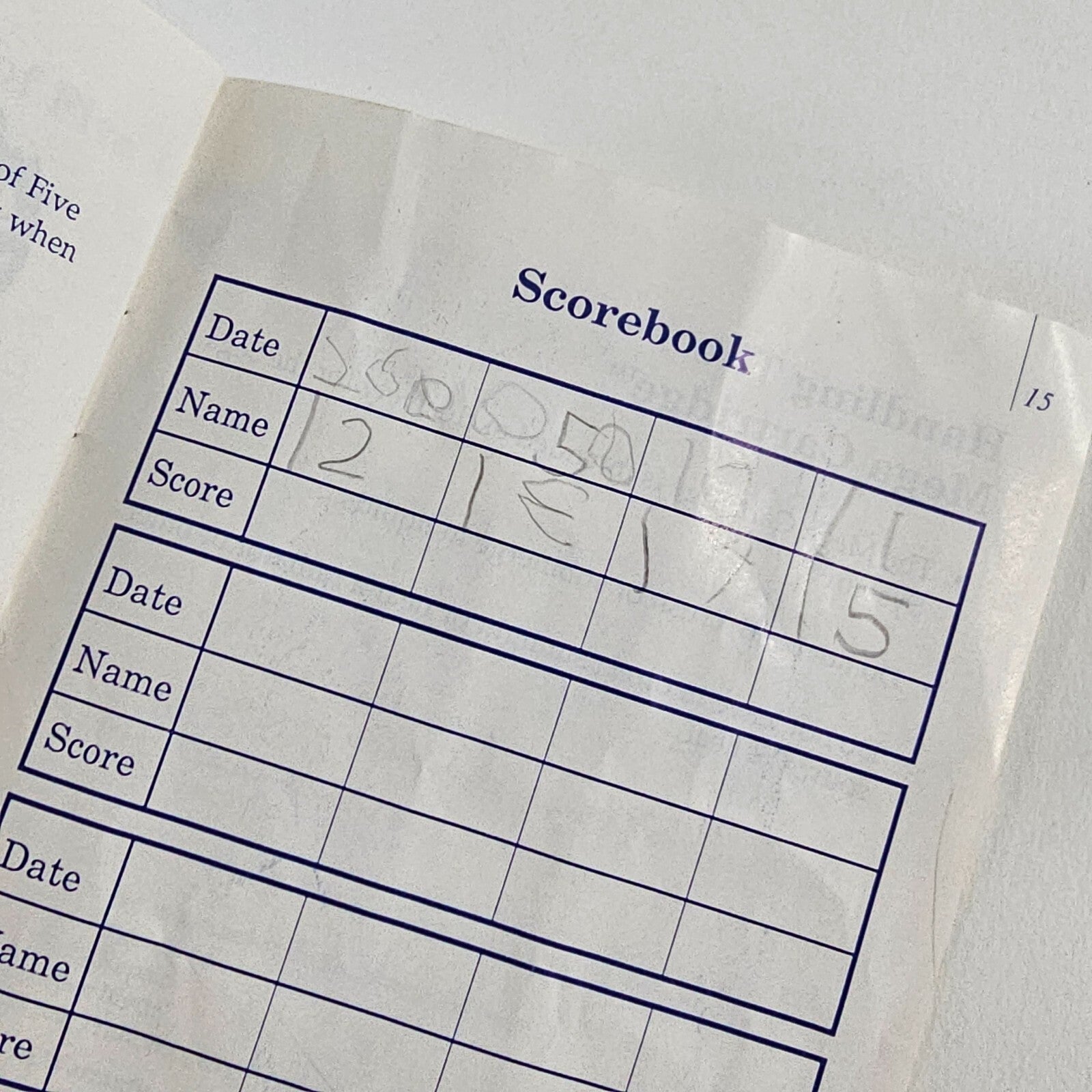 Shinobi (Sega Master System, 1988) Game Case Manual - Tested and Working