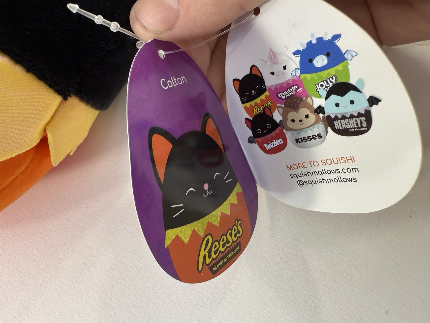 Squishmallows Halloween Reese's Colton Black Cat 8" Stuffed Plush with Tags