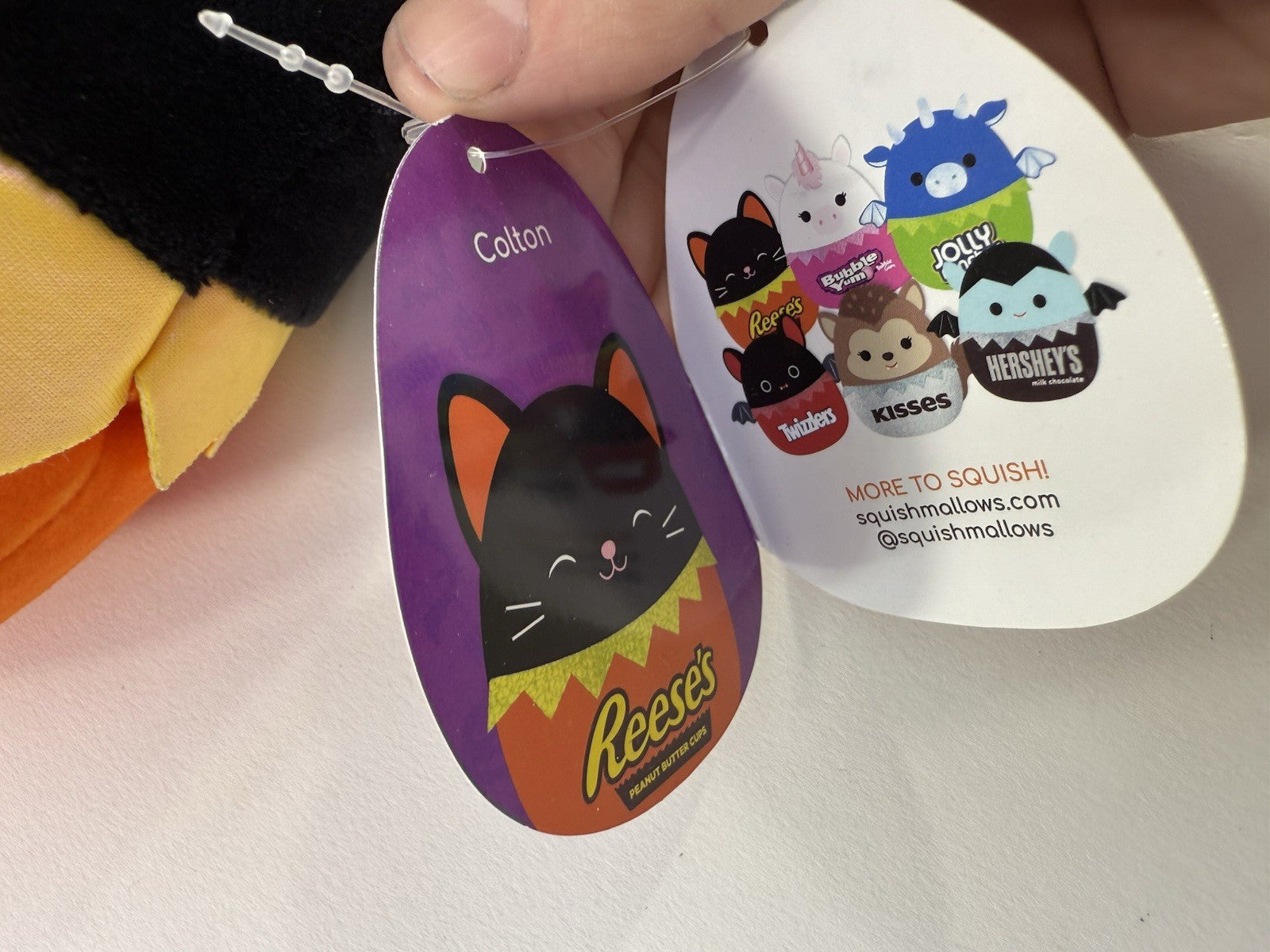 Squishmallows Halloween Reese's Colton Black Cat 8" Stuffed Plush with Tags