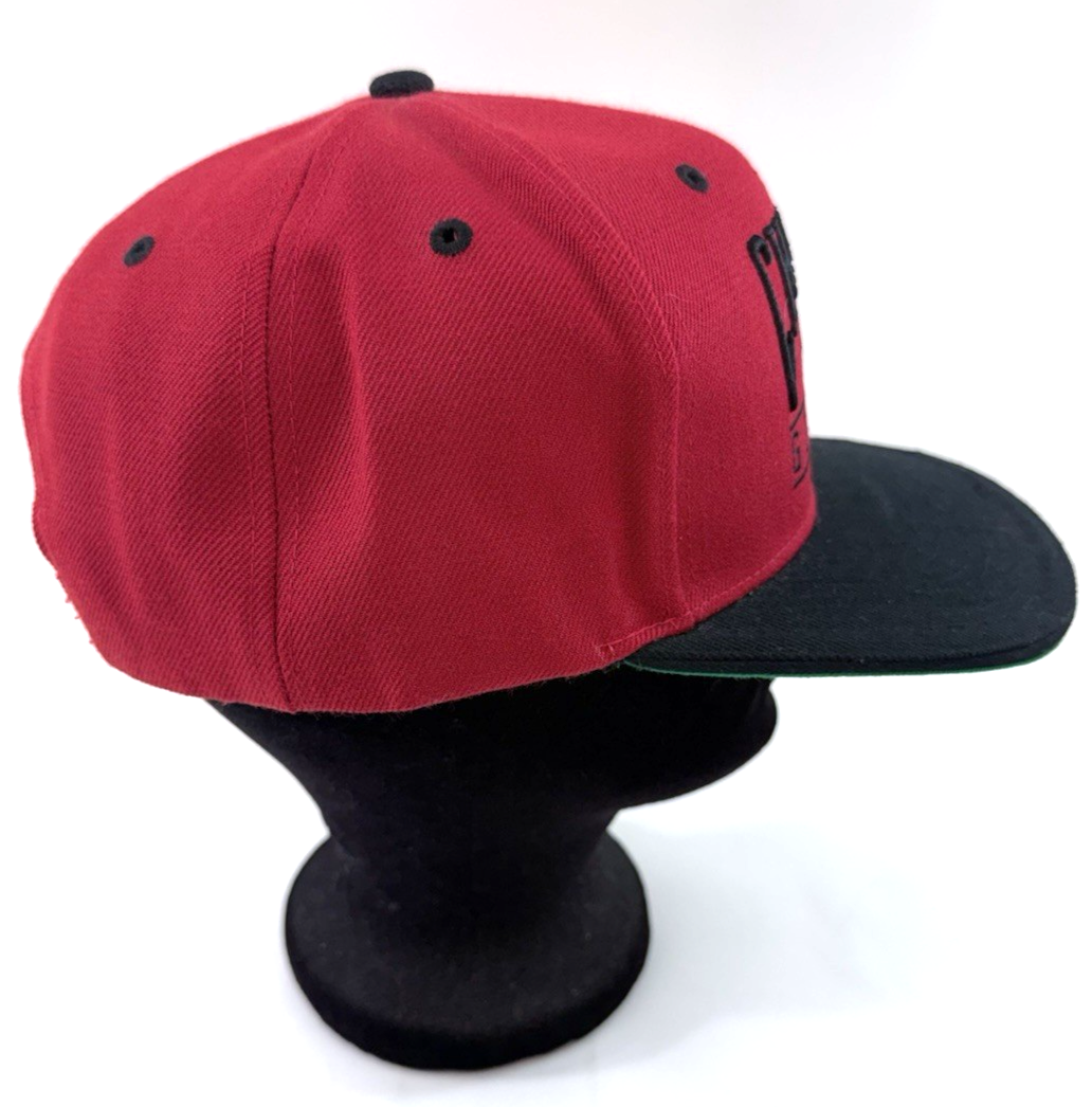 J. W. Nostalgic Fields Chicago Giants The Negro League Red/Black Snapback Cap