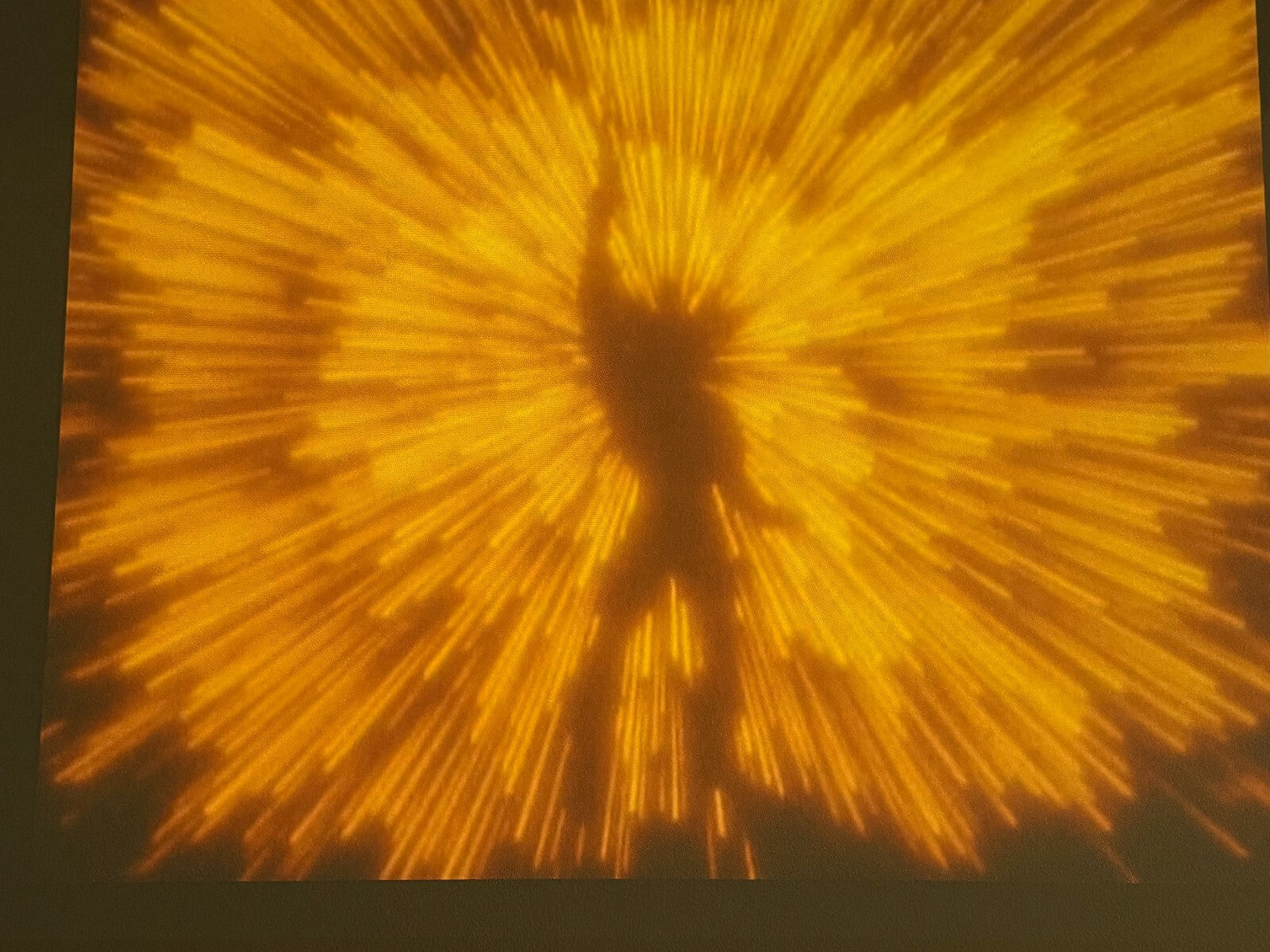 The Best of He-Man and the Masters of the Universe: 10 Episode Collection on DVD