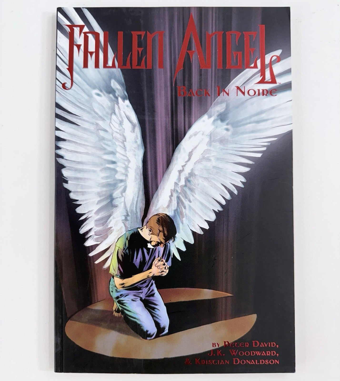 Fallen Angel: To Rule in Hell (IDW, 2007) Back in Noire - First Prints - #2 #3