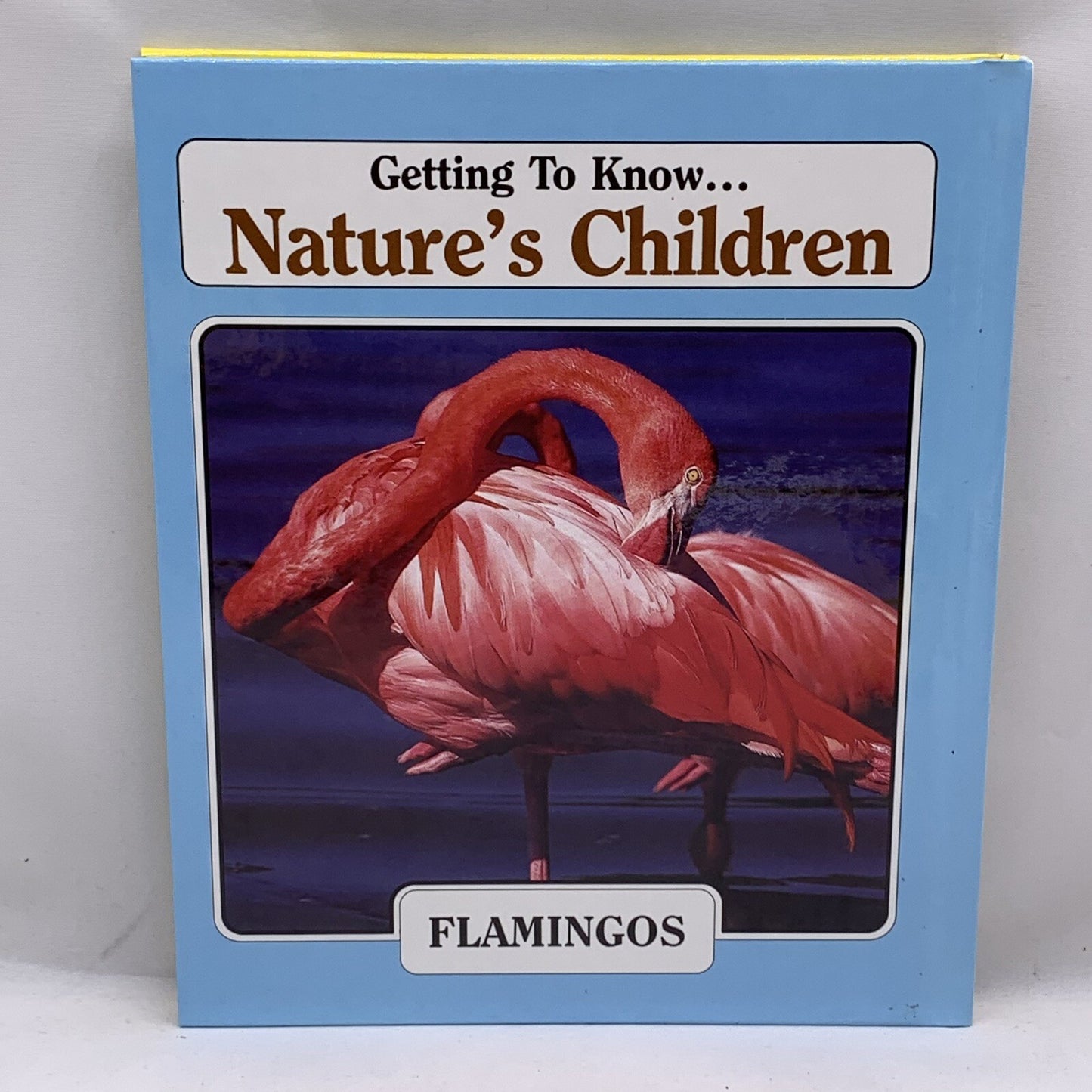 Getting to Know... Nature's Children (Hardcover bundle) Gorillas Puffins Gulls