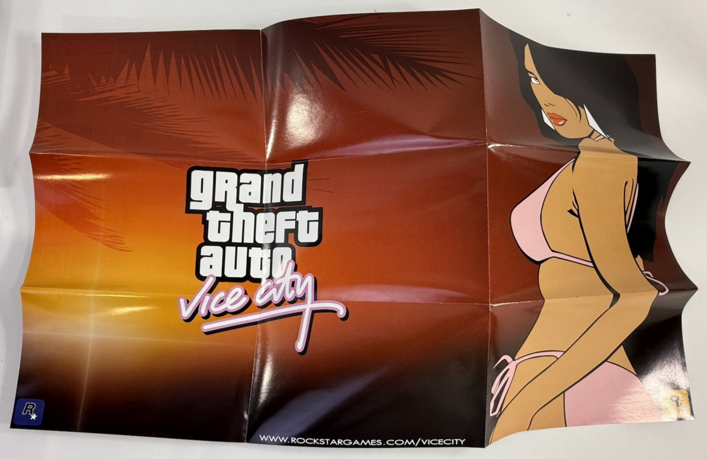 Grand Theft Auto: Vice City (PlayStation 2, 2002) Game Case Manual Poster - Read