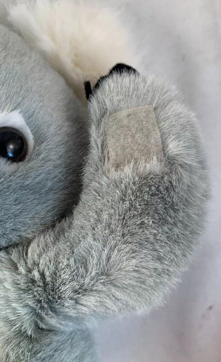 Koala Bear Plush Designed In Australia By Besko Toy Co. Soft Cuddly