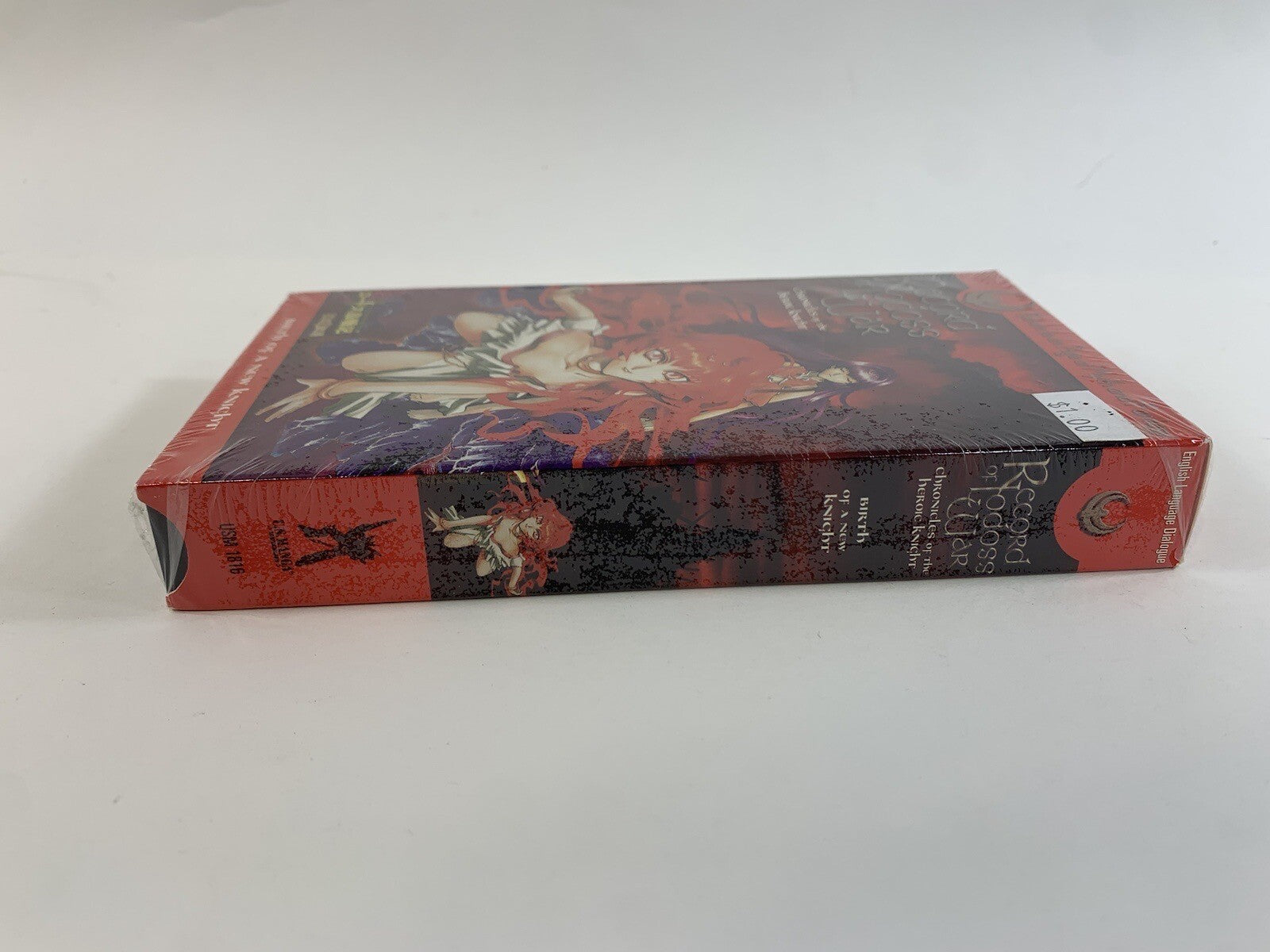 Record of Lodoss War: Chronicles of the Heroic Knight Vol. 9 - Birth of a New...