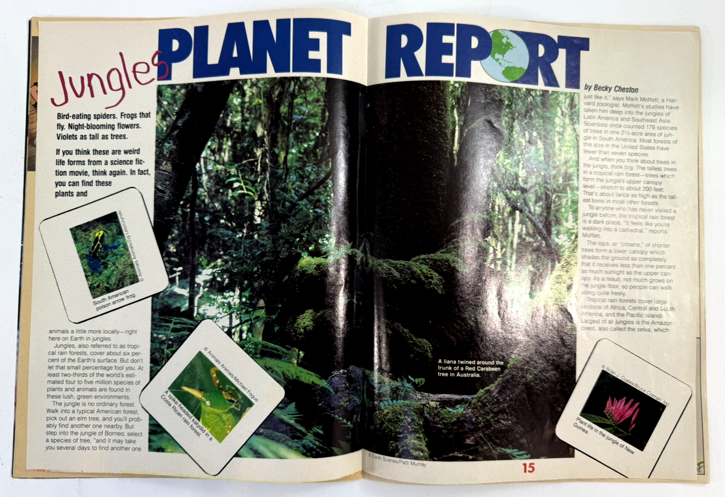 Thundercats Magazine #1  Winter 1987 - With Poster - Lorimar-Telepicture Inc.