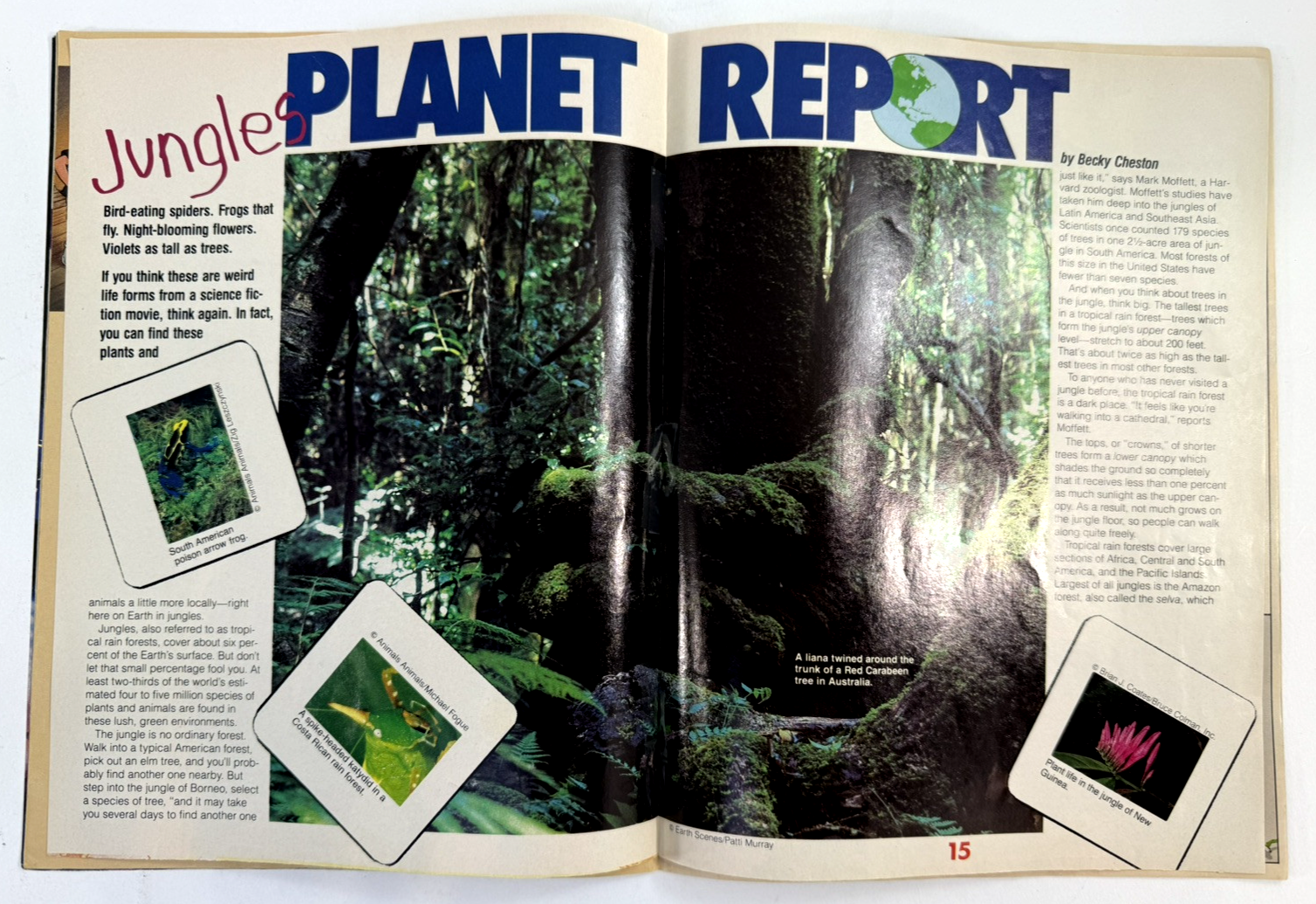 Thundercats Magazine #1  Winter 1987 - With Poster - Lorimar-Telepicture Inc.