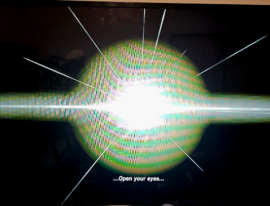 The Legend of Zelda: Breath of the Wild (Wii U, 2017) Game Case Manual - Tested