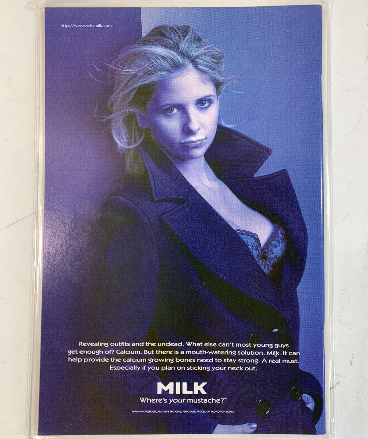 Danger Girl Action Figures Sydney Savage & Abbey Chase With Comics - READ