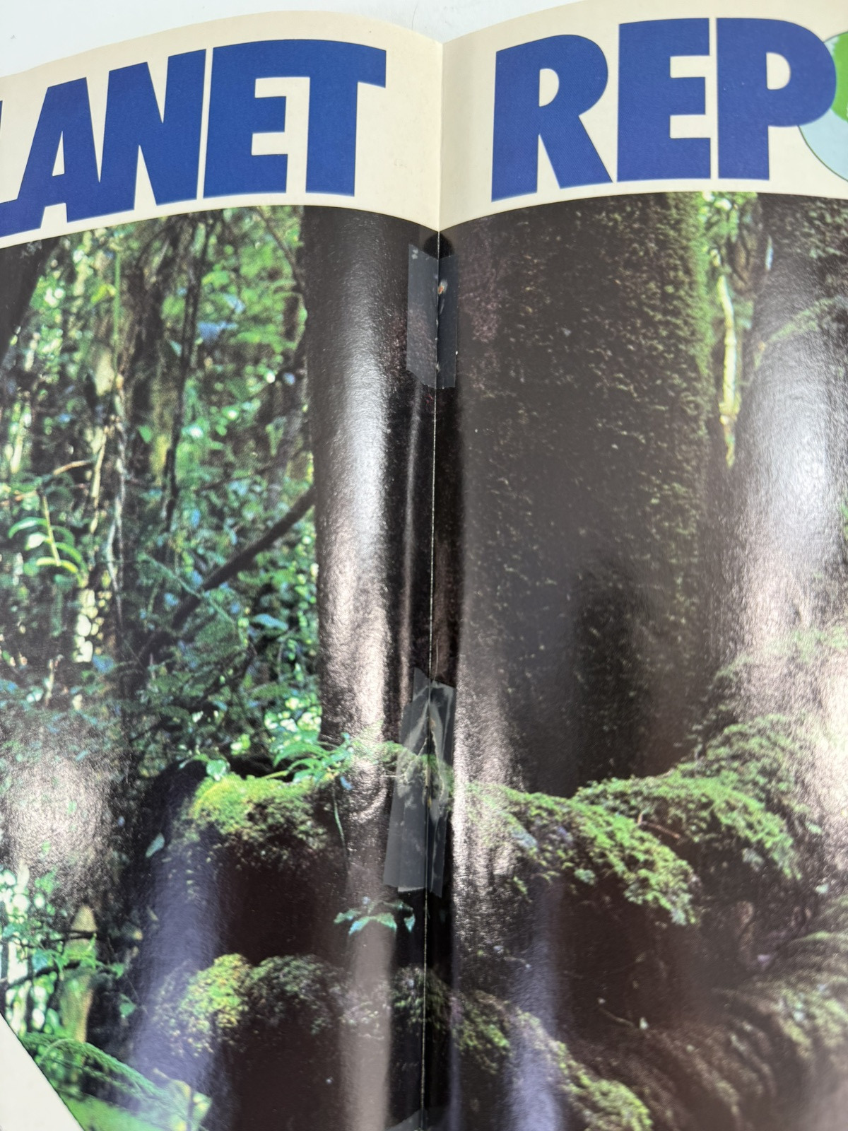 Thundercats Magazine #1  Winter 1987 - With Poster - Lorimar-Telepicture Inc.