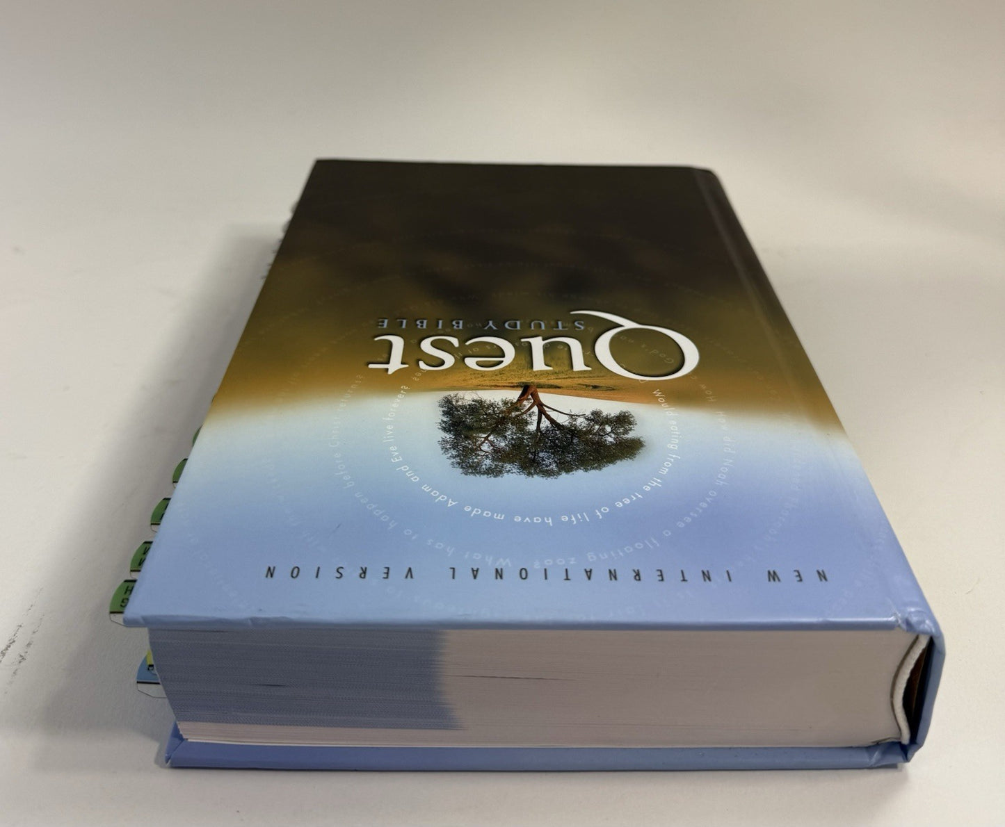 NIV Quest Study Bible by Zondervan Staff (2003, Hardcover)