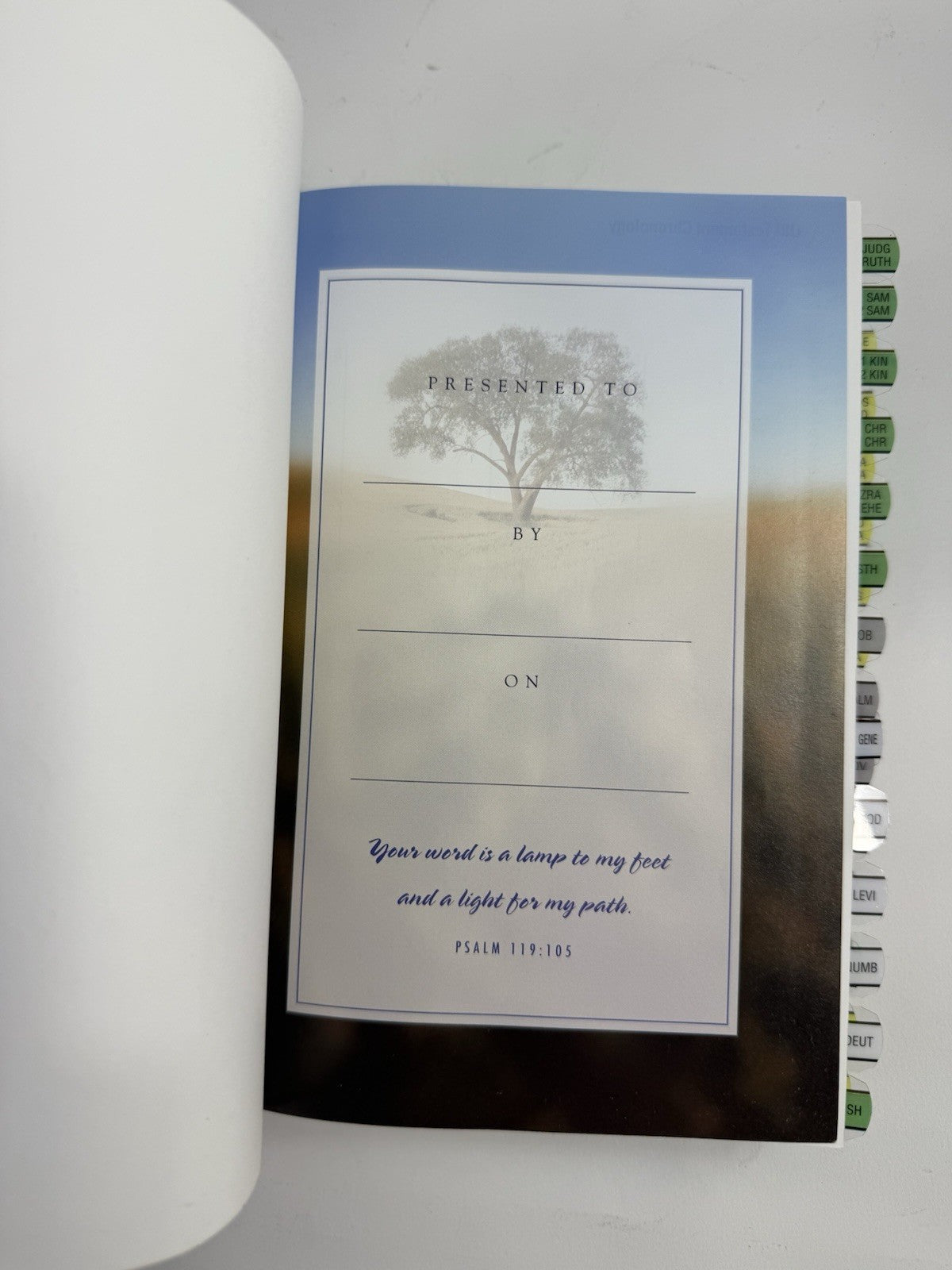 NIV Quest Study Bible by Zondervan Staff (2003, Hardcover)