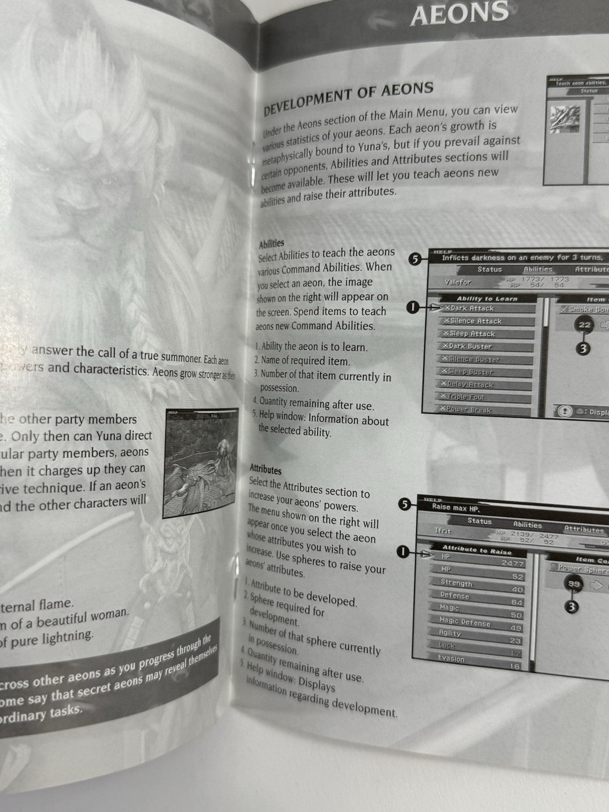 Final Fantasy X (PlayStation 2, 2001) Game Case Manual - Tested And Working