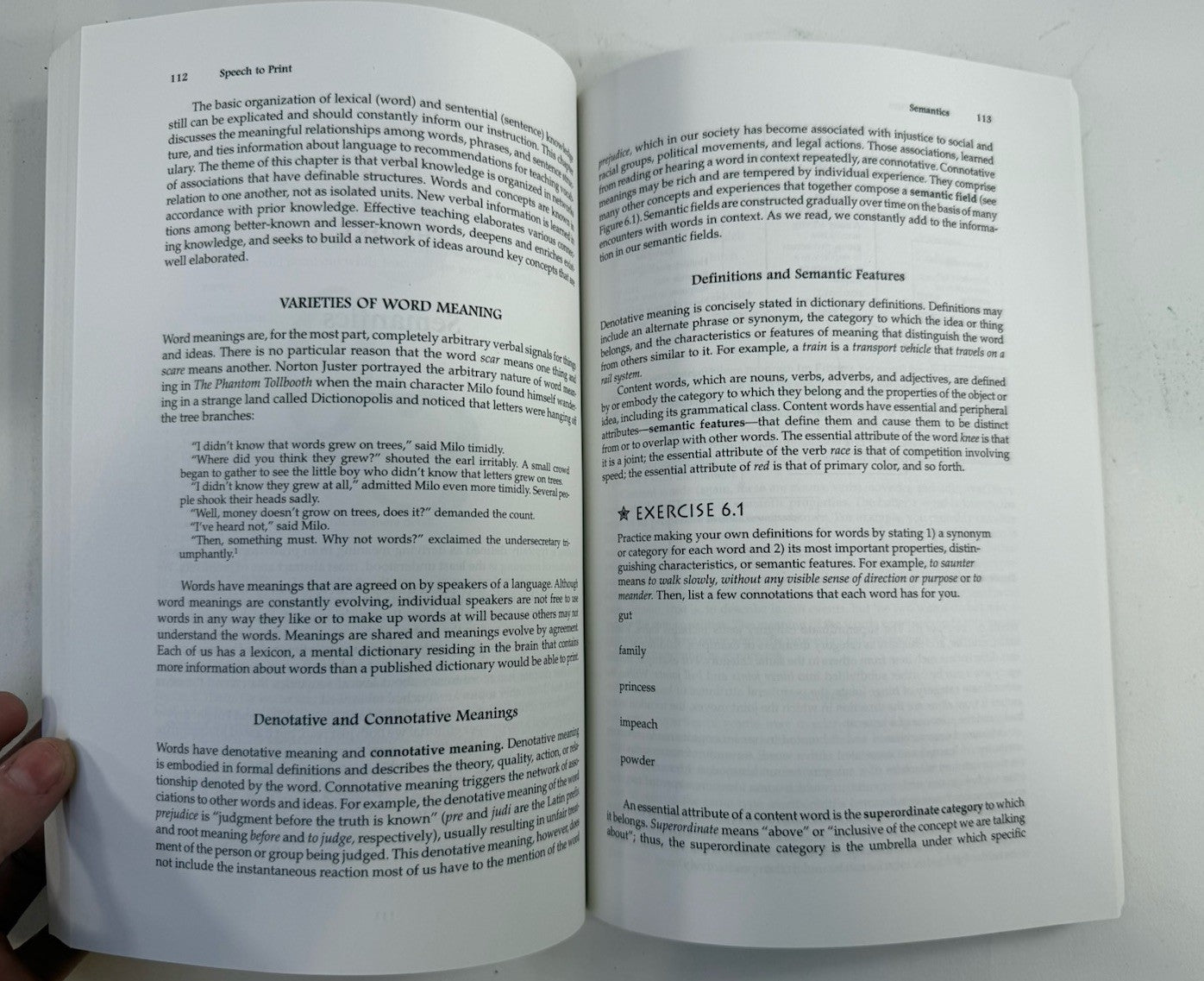 Speech to Print: Language Essentials for Teachers (Paperback, 2004)