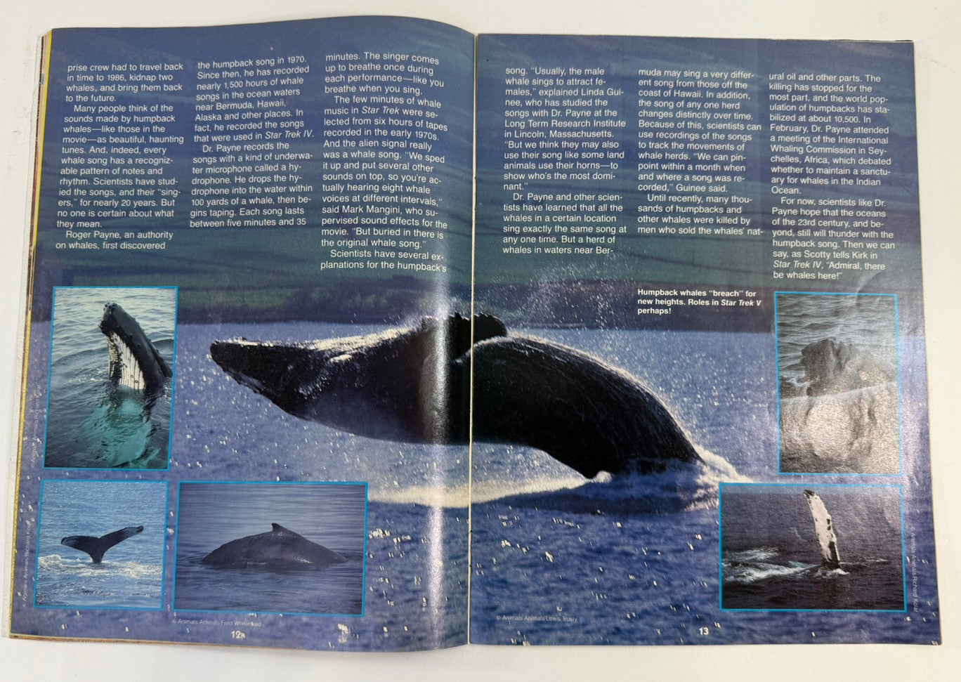 ThunderCats Magazine Summer 1987 Issue #3 - Poster Attached - Lorimar Publishing