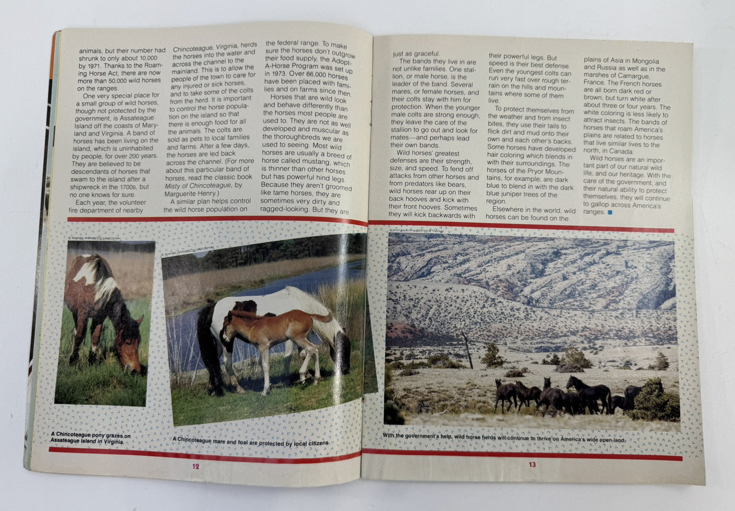 Thundercats Magazine #2 Spring 1987 - With Poster - Lorimar-Telepictures Inc