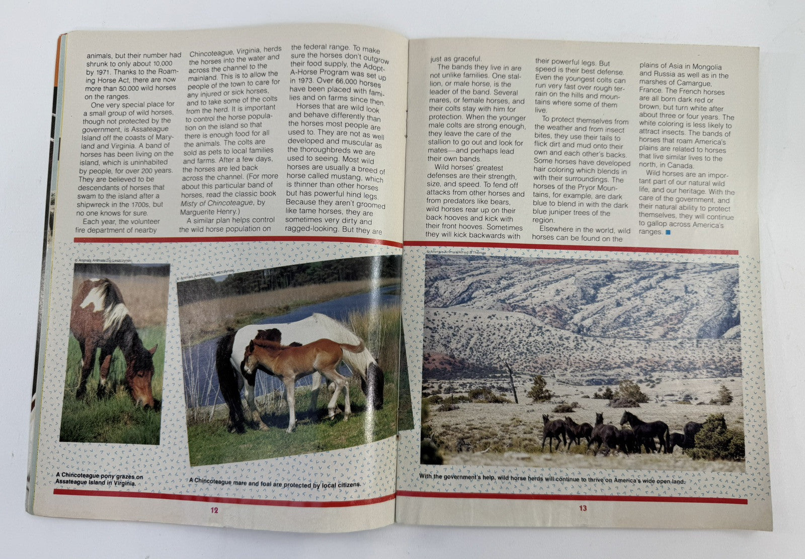 Thundercats Magazine #2 Spring 1987 - With Poster - Lorimar-Telepictures Inc