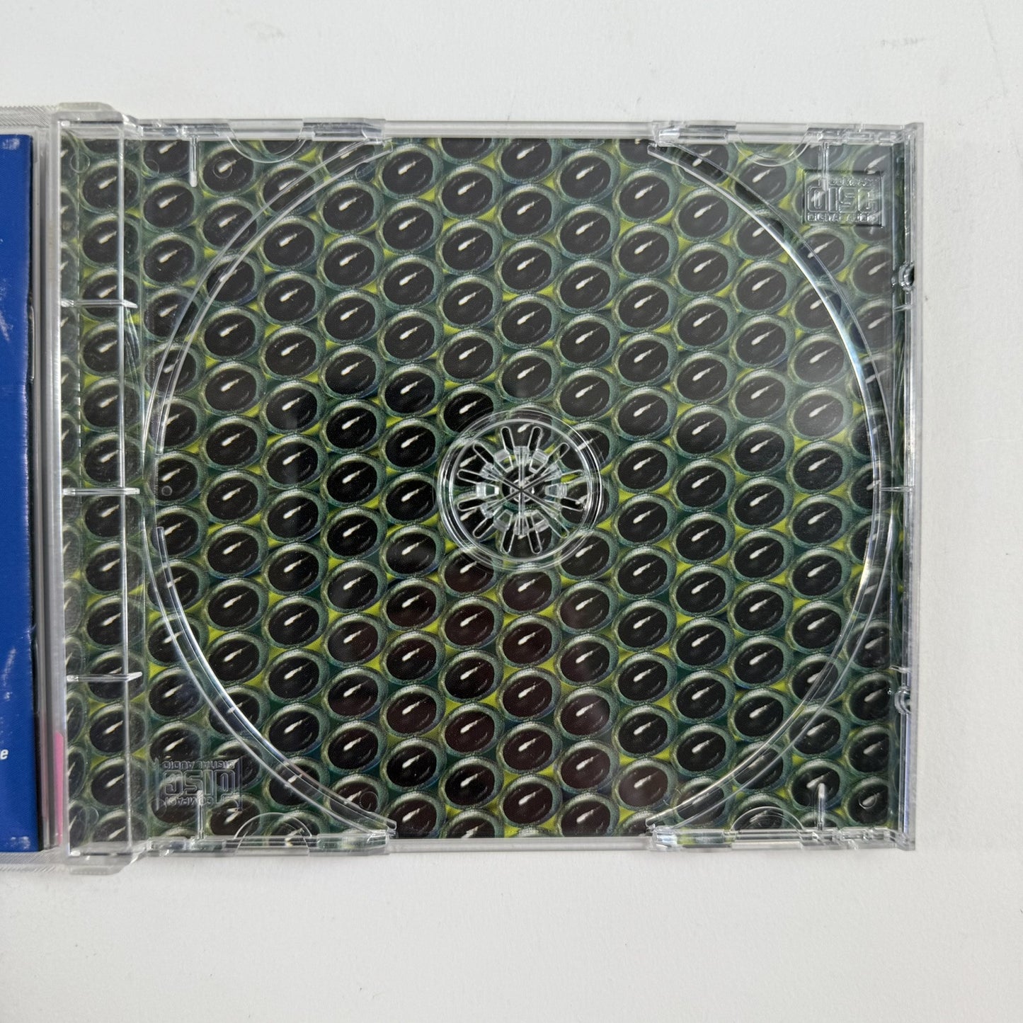 Bug Riders: The Race of Kings (PC Game , 1997) Tested and Working